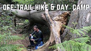 Off-trail Hike & Forest Day Camp | British Army MRE | BCB Fire Dragon Stove | Alpkit Clip