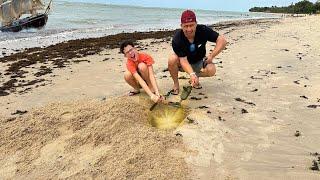 PROCURANDO TESOURO PERDIDOS na PRAIA com DETECTOR DE METAIS