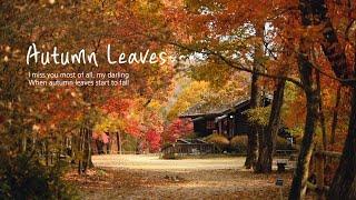 Autumn Leaves in Korea