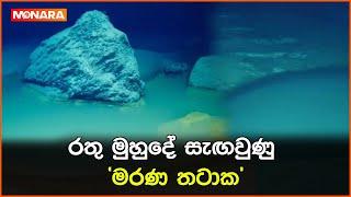 රතු මුහුදේ සැඟවුණු 'මරණ තටාක'  || #redsea #worldnews