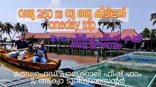 വരു നമ്മുക്ക് പോകാം 250 രൂപയ്ക്ക് അക്വാ ഫാമിലേക്ക്| palakkari fish farm& toirism center |വൈക്കം