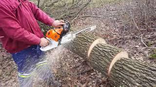 Umgestürzter kleiner Baum mit STIHL 500i