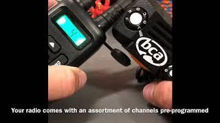 BCA BC Link Channel programming