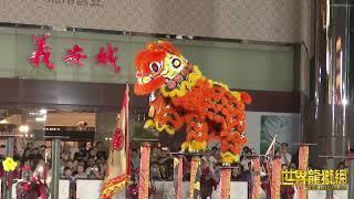 南仙龙狮体育会 Nam Sieng Dragon & Lion Dance Activity Centre