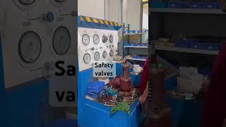 Welcome to inquiry!We provide industrial solutions.#industrialvalves #engineering #safetyvalves
