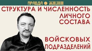 Сколько человек в роте, взводе, отделении