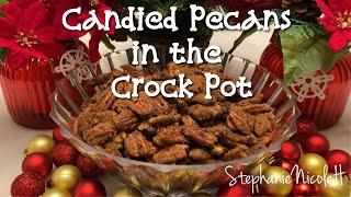 The BEST Holiday Snack | Candied Pecans in the Crock Pot | Slow Cooker Candied Pecan Recipe