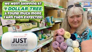 We Went Shopping At Dollar Tree & Found More Yarn Than We Expected! & Other Craft Goodies!