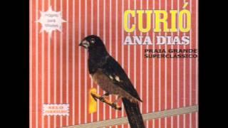 CD Curio Canto Super Classico Praia - ANA DIAS - Proprio Para Filhotes