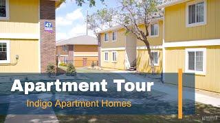 Apartment Tour - Indigo Apartment Homes Oklahoma, Weidner