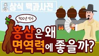 홍삼이 몸에 좋은 이유 [상식 백과사전]