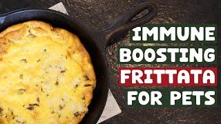 Holiday Frittata For Your Pet!  Support Their Immune System