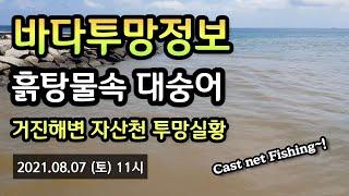 8월 7일 거진 자산천 바다투망실황