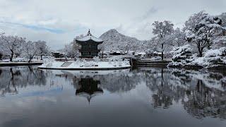 (4K)외국인들도 감동한 경복궁의 멋진 설경, 서울 첫눈 오는 날 수많은 외국인들(Gyeongbokgung Palace, the first day of snow in Seoul)