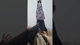 The something special#horse #equestrain #trickriding #stuntrider #fypシ゚ #subscribe #viralshort