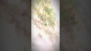 #M.R. Suraj editar 07#new #shorts #video 2024 #video