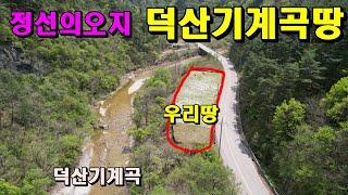 (정선의대표오지)덕산기계곡접한땅/작은힐링터/원시계곡/자연과더불어/정선부동산매매/정선토지매매