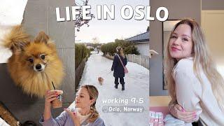 A Winter Day in the Life Working 9-5 In Oslo | Icy, Snowy Days In Norway