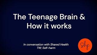 The Teenage Brain & How it works | Shared Health Foundation