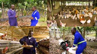 I LEFT UK TO FARM IN GHANA - ASSIN FOSU BEST FARMER ELDER DANIEL ANKOMAH MENDS