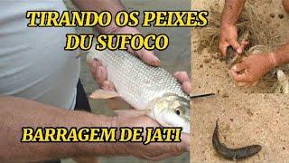 Barragem de Jati  tirando os peixes do sufoco #resgatando os peixes