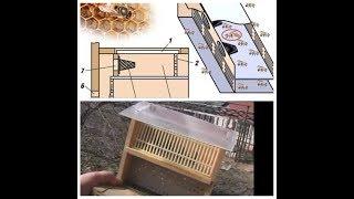Матка уловитель при роение пчел