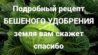 БЕШЕНОЕ удобрение для Осенней Обработки ЗемлиФузариоз всюду