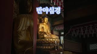 반야심경 염송 #부처님말씀 #부처님가르침 #반야심경