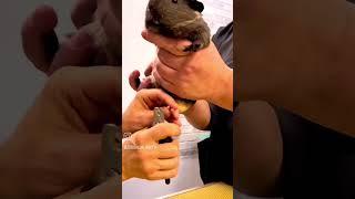 Лапокюр для морской свинки! Груминг салон "Балути" #groom #грумер
