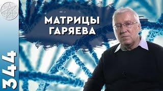 #344  Петр Гаряев - контактер с внеземными цивилизациями? Волновая генетика, матрицы Гаряева.