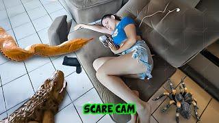 BEST SCARE CAM Priceless Reactions 2024#105 | Funny Videos TikTok | CoCo Scare Cam |