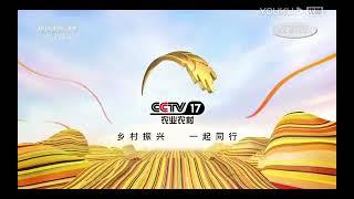 CCTV 17 农业农村频道 ID 2019.08.01(3)