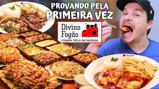 PROVAMOS PELA PRIMEIRA VEZ AS COMIDAS DO DIVINO FOGÃO - Vale a pena?