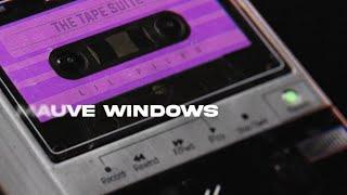 Mauve Windows | Got The Sauce (Official Music Video Visualiser)