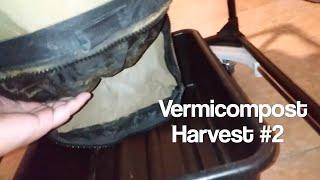 Vermicompost Harvest #2 & Feeding - Blue Worms - Perionyx excavatus - Urban Worm Bag v2 - Ep 27