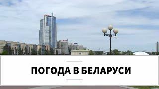 Погода в Беларуси на август и начало осени 2019. Прогноз погоды