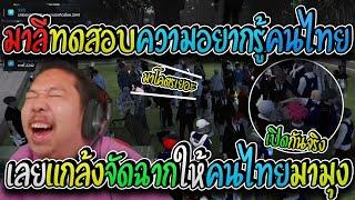 มาลี สวยมาก เมื่อมาลีทดสอบความอยากรู้ของคนไทยเลยแกล้งมีเรื่องให้คนไทยตามมางานนี้มากันลึ่ม! I GTA V
