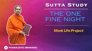 The One Fine Night-Bhaddekaratta Sutta (MN131) | Thanajayo Bhikkhu | 29 July 2024