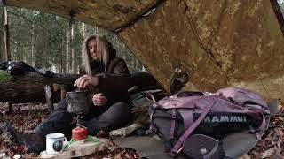 ein gemütlicher Nachmittag im Wald - a chilly afternoon in the forest