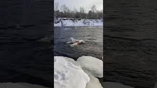 Лохнесское чудовище в Лосево))