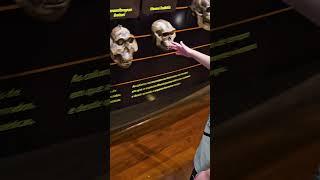 Evolução da Humanidade #evolution #viral #youtube