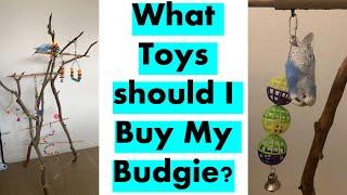 What Toys Should I Buy My Budgie?