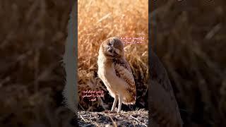 با انتخاب این رسانه از خبررسانی به موقع حمایت کنید و لحظه به لحظه با جدیدترین خبرها همراه باشید 