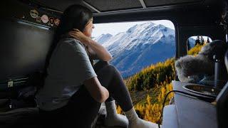 Solo Truck Camping in my Defender | Canadian Wilderness