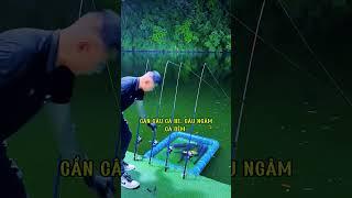 Cần câu máy 2 khúc, ngọn siêu dẻo, câu cá bè, câu ngâm, câu dìa bao phê #fishing #shortvideo