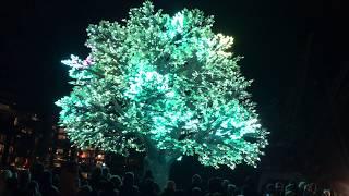 LED Tree for 3.1 Milion Dollars (Oslo tre)