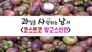 *코스트코 망고스틴편* 열대과일의 여왕...드디어 등장!!