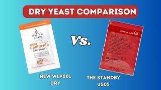 WLP001 vs. US-05 Dry Yeast Comparison - Brew Dudes