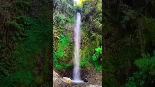 Beautifall Waterfall in Shimla | Mashobra Waterfall #shorts