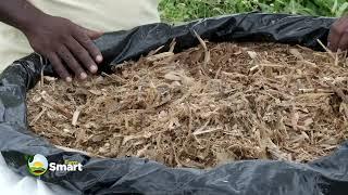 Silage Making Process With Itungo Pastures.